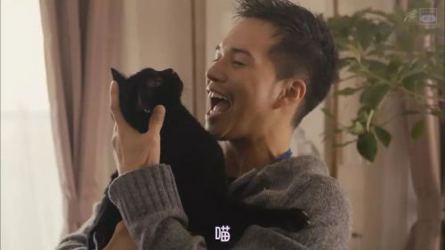 被流浪猫捡到的男人