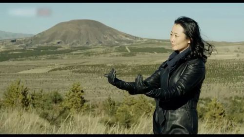 江湖儿女