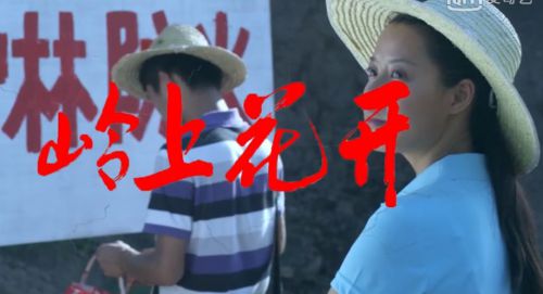 岭上花开