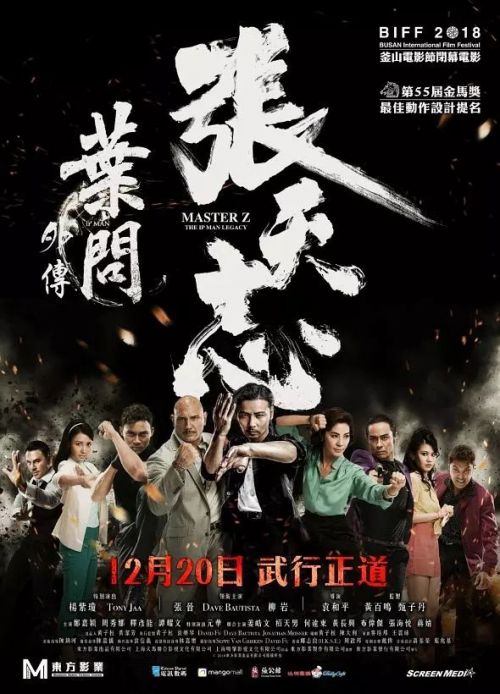 叶问外传：张天志