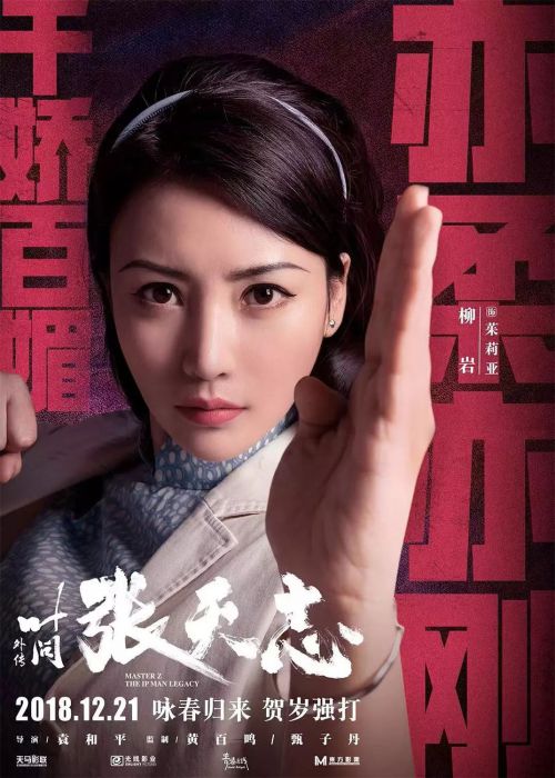 叶问外传：张天志