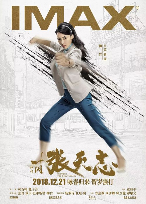 叶问外传：张天志