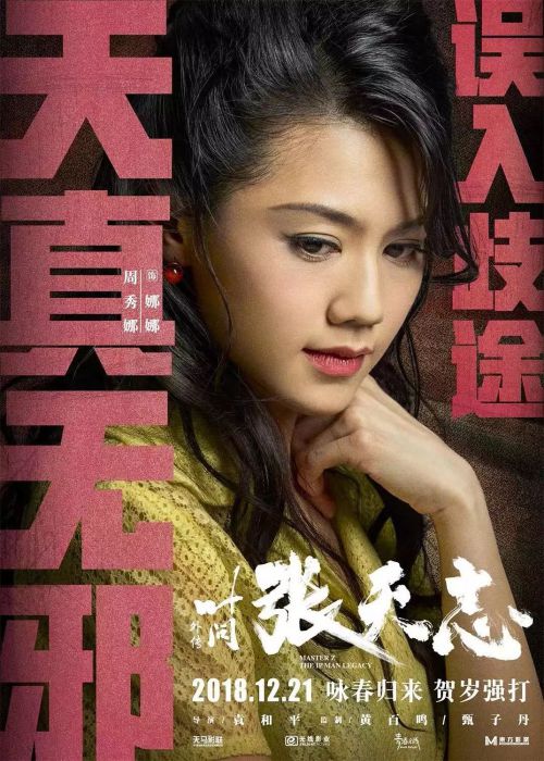 叶问外传：张天志