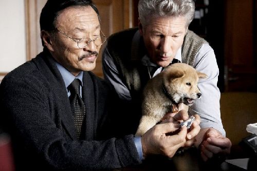 忠犬八公的故事