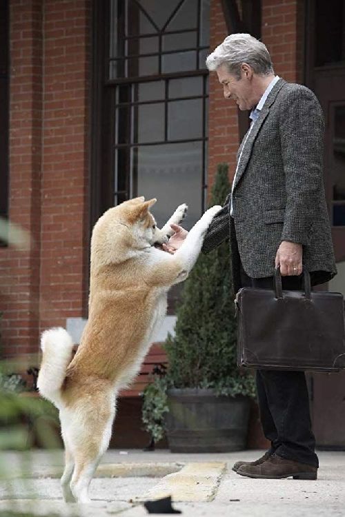 忠犬八公的故事
