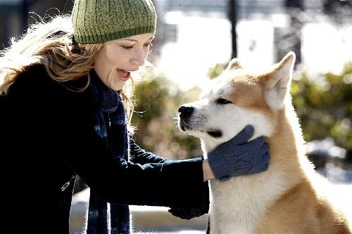 忠犬八公的故事