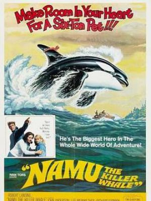 Namu, the Killer Whale