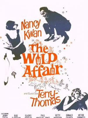 The Wild Affair