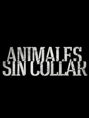 Animales sin collar