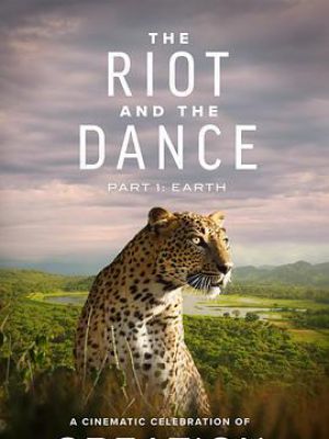 The Riot and the Dance Part 1: Earth