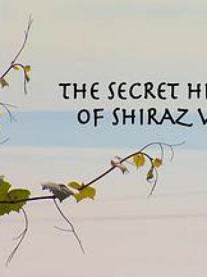 The Secret History of Shiraz Wine