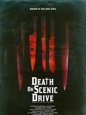 Death On Scenic Drive