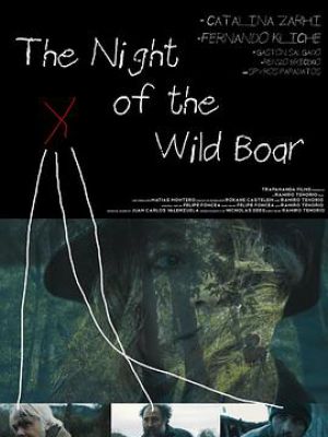 The Night of the Wild Boar