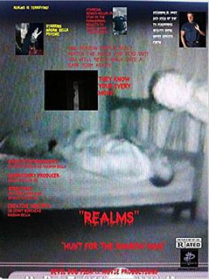 Realms Hunt for the Shadow Man