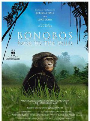 Bonobos: Back to the Wild