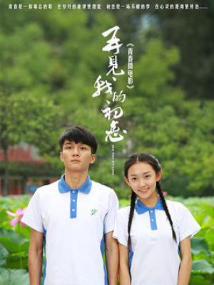 再见我的初恋
