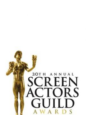 The 20th Annual Screen Actors Guild Awards