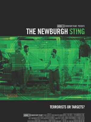 The Newburgh Sting