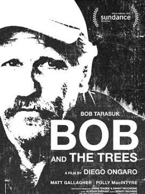 鲍勃和树
