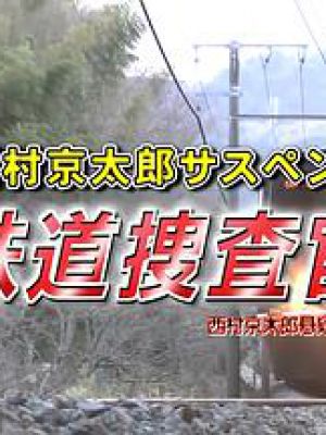 西村京太郎サスペンス 鉄道捜査官 14