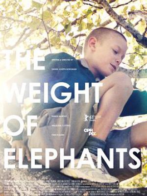 大象的重量