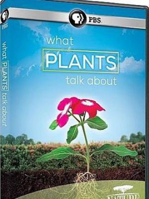 PBS 自然：植物间的对话
