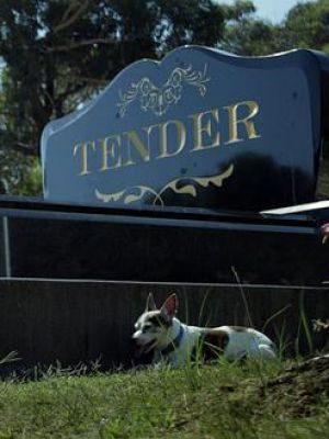 Tender