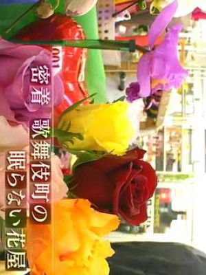 纪实72小时 歌舞伎町的不眠花店