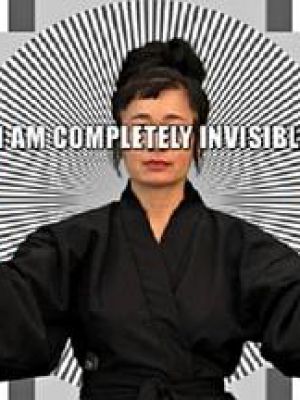 HOW NOT TO BE SEEN: A Fucking Didactic Educational
