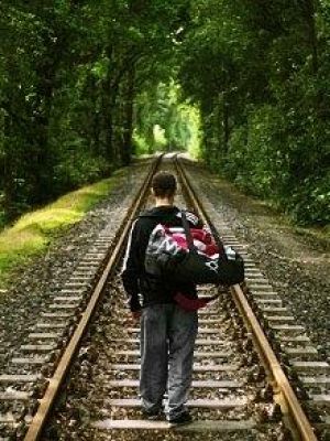 Crazy Dennis Tiger Crazy Dennis Tiger