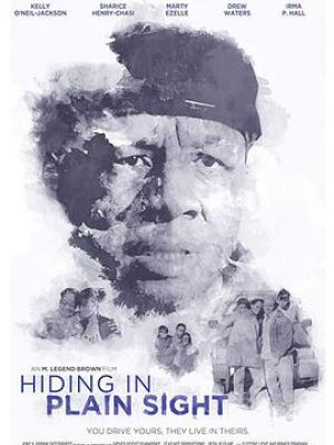 Hiding in Plain Sight