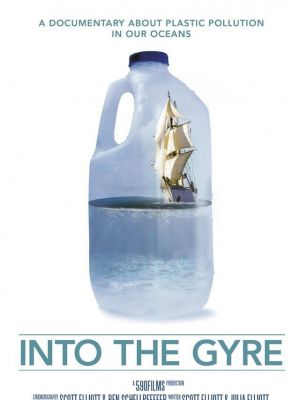 Into the Gyre