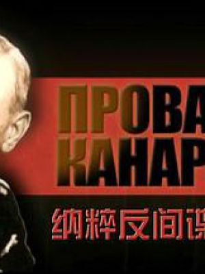 卡纳里斯：纳粹反间谍的失败
