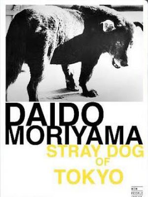 Daido Moriyama: Stray Dog of Tokyo