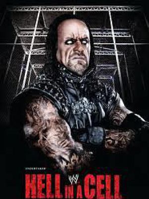Hell in a Cell 2010