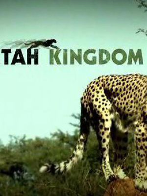 ITV1：猎豹王国