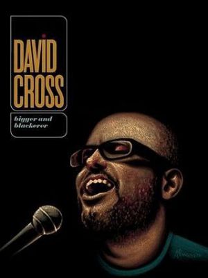 David Cross: Bigger & Blackerer