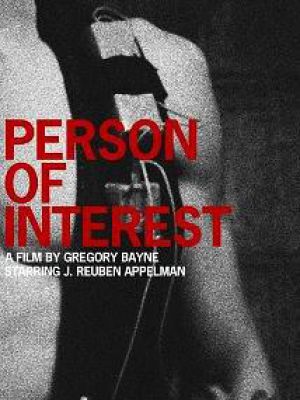 Person of Interest