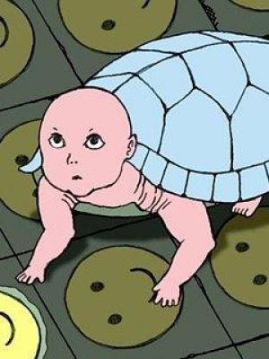 烏龜便便的預言