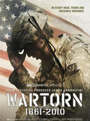 Wartorn: 1861-2010