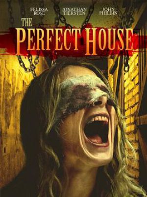 The Perfect House