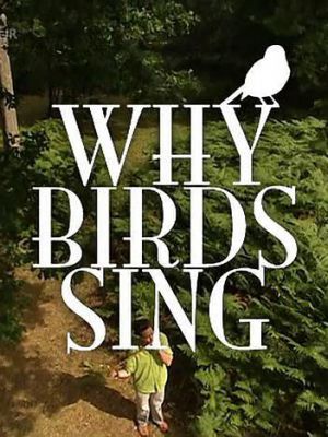 BBC 鸟儿为何歌唱