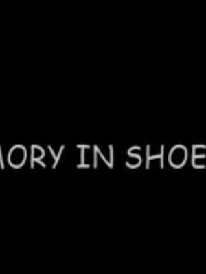 memory in shoe box