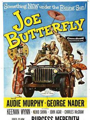Joe Butterfly