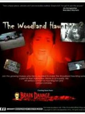 The Woodland Haunting 2