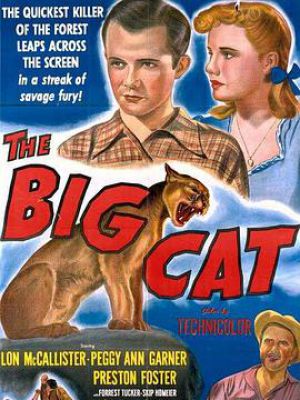 The Big Cat