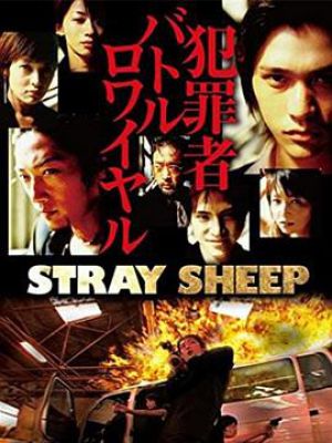 STRAY SHEEP ストレイシープ