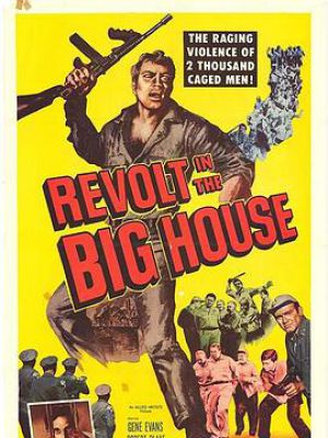 Revolt in the Big House