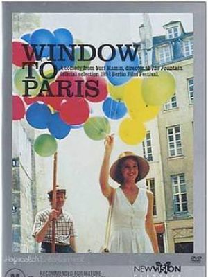 通向巴黎的窗户