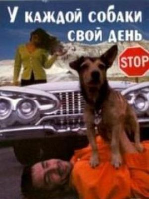 Every Dog Has Its Day